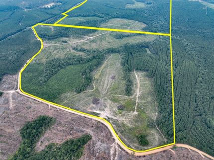 Land for sale in Polk County, Texas