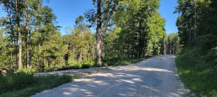 Hunting Property for sale in Martin County, Indiana