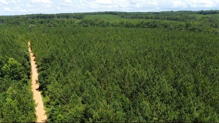 Land for sale in Tallapoosa County, Alabama