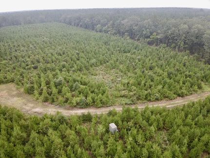 Land for sale in Red River County, Texas