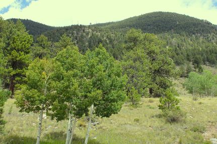 Undeveloped Land for sale in Park County, Colorado