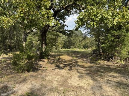 Land for sale in Lamar County, Texas