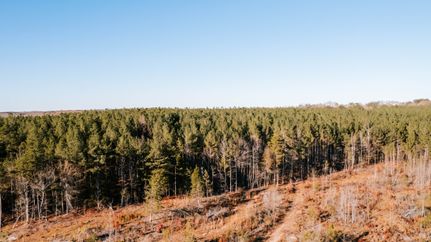 Land for sale in Oglethorpe County, Georgia