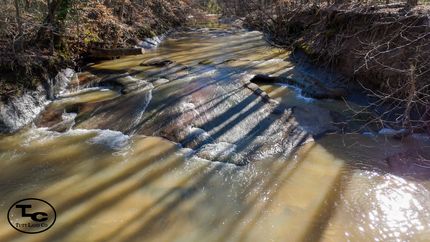 Farm and Ranch for sale in Chester County, Tennessee