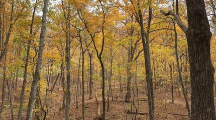 Land for sale in Polk County, Georgia