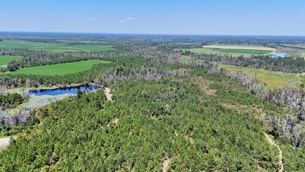 Hunting Property for sale in Jeff Davis County, Georgia
