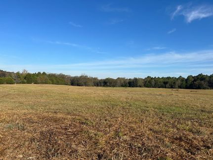 Land for sale in Noxubee County, Mississippi