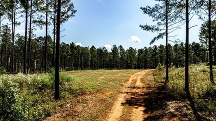 Land for sale in Monroe County, Georgia