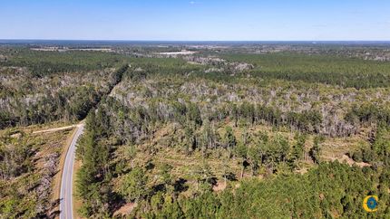 Land for sale in Bacon County, Georgia