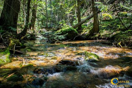 Hunting Property for sale in Mineral County, Montana