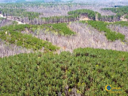 Land for sale in Perry County, Tennessee