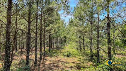 Land for sale in Marion County, Georgia