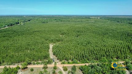 Land for sale in Marion County, Georgia