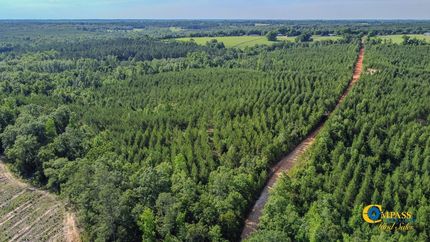 Land for sale in Marion County, Georgia