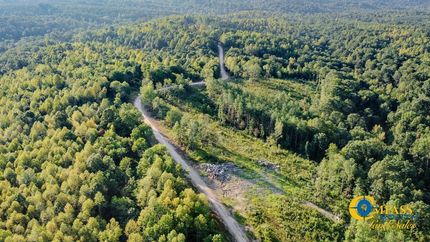 Land for sale in Stewart County, Tennessee