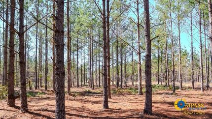 Land for sale in Kershaw County, South Carolina