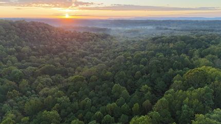 Land for sale in Morgan County, Alabama