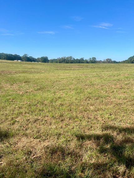 Land for sale in Crenshaw County, Alabama