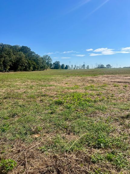 Land for sale in Crenshaw County, Alabama