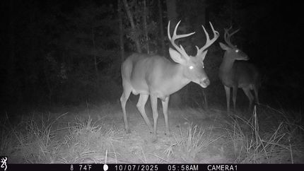 Recreational Property for sale in Butler County, Alabama