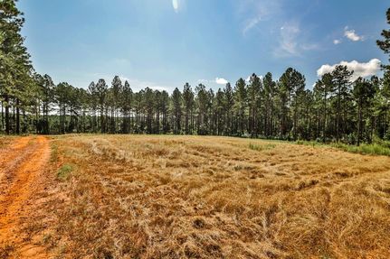 Land for sale in Monroe County, Georgia