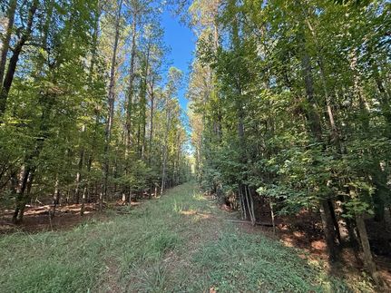 Hunting Property for sale in Hinds County, Mississippi