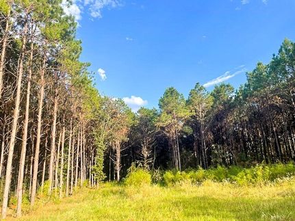 Land for sale in Polk County, Texas