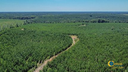 Land for sale in Taylor County, Georgia