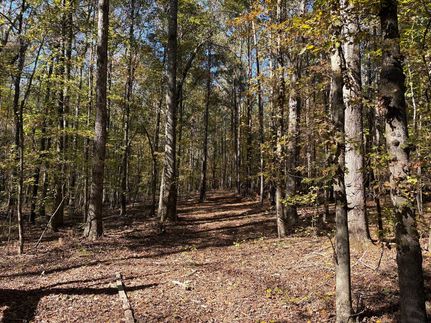 Land for sale in Pike County, Georgia