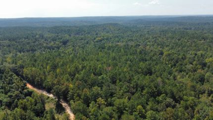 Land for sale in Tallapoosa County, Alabama