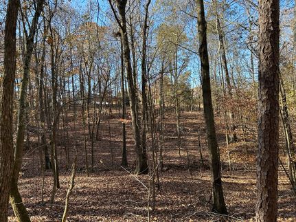 Land for sale in Franklin County, Georgia