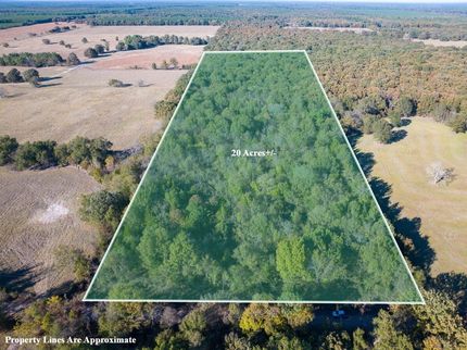 Land for sale in Red River County, Texas