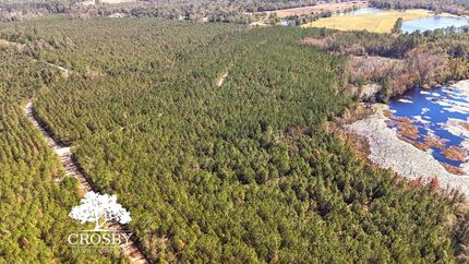 Land for sale in Emanuel County, Georgia