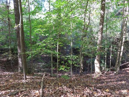 Land for sale in Lancaster County, South Carolina
