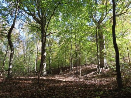 Undeveloped Land for sale in Lancaster County, South Carolina