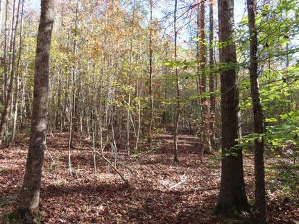 Land for sale in Lancaster County, South Carolina