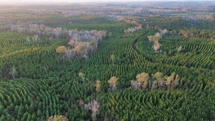 Land for sale in Russell County, Alabama