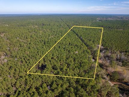 Land for sale in Trinity County, Texas