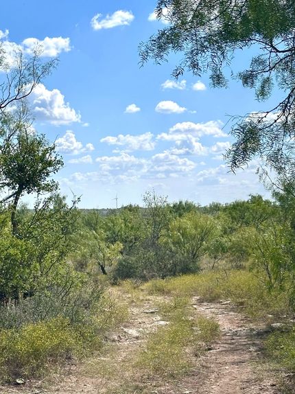 Land for sale in Callahan County, Texas