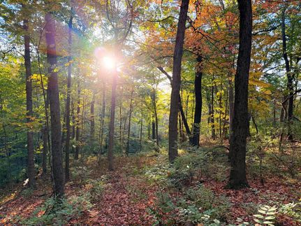 Hunting Property for sale in Peoria County, Illinois