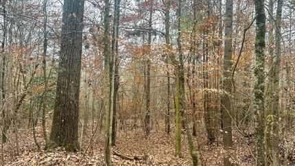 Land for sale in Elbert County, Georgia