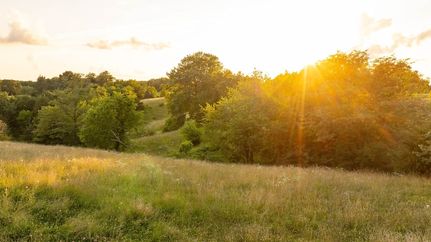 Land for sale in Appanoose County, Iowa