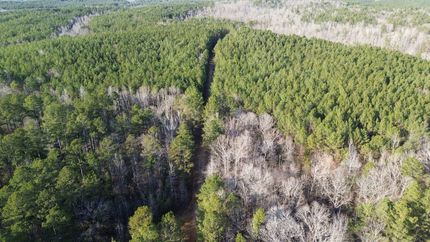 Land for sale in Hardeman County, Tennessee