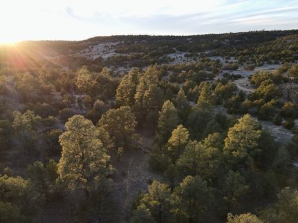 Land for sale in Cibola County, New Mexico