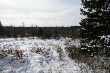 Land for sale in Price County, Wisconsin