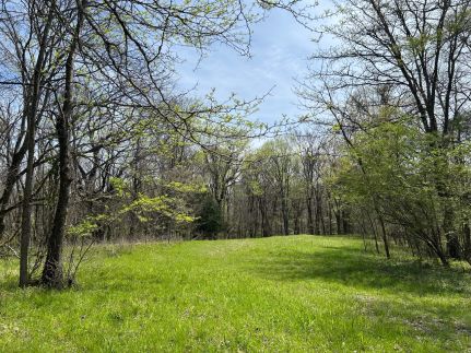 Land for sale in Panola County, Mississippi