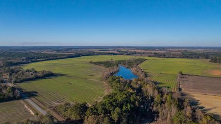 Land for sale in Mitchell County, Georgia