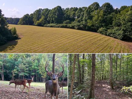 Land for sale in Vinton County, Ohio