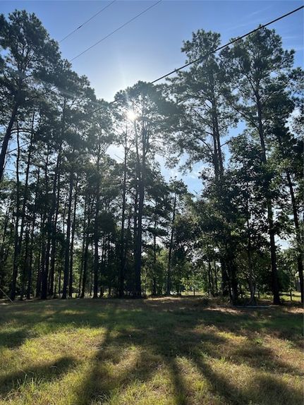 Undeveloped Land for sale in Polk County, Texas