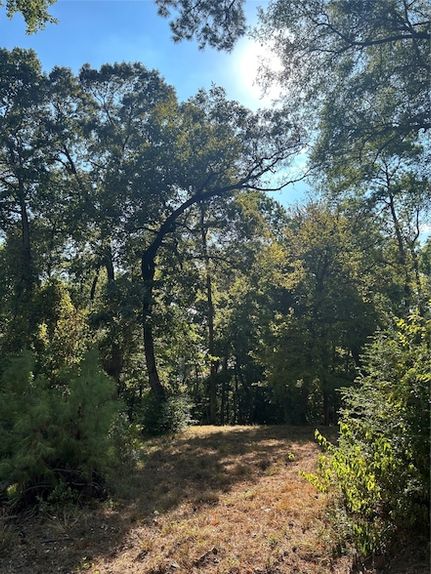 Land for sale in Polk County, Texas